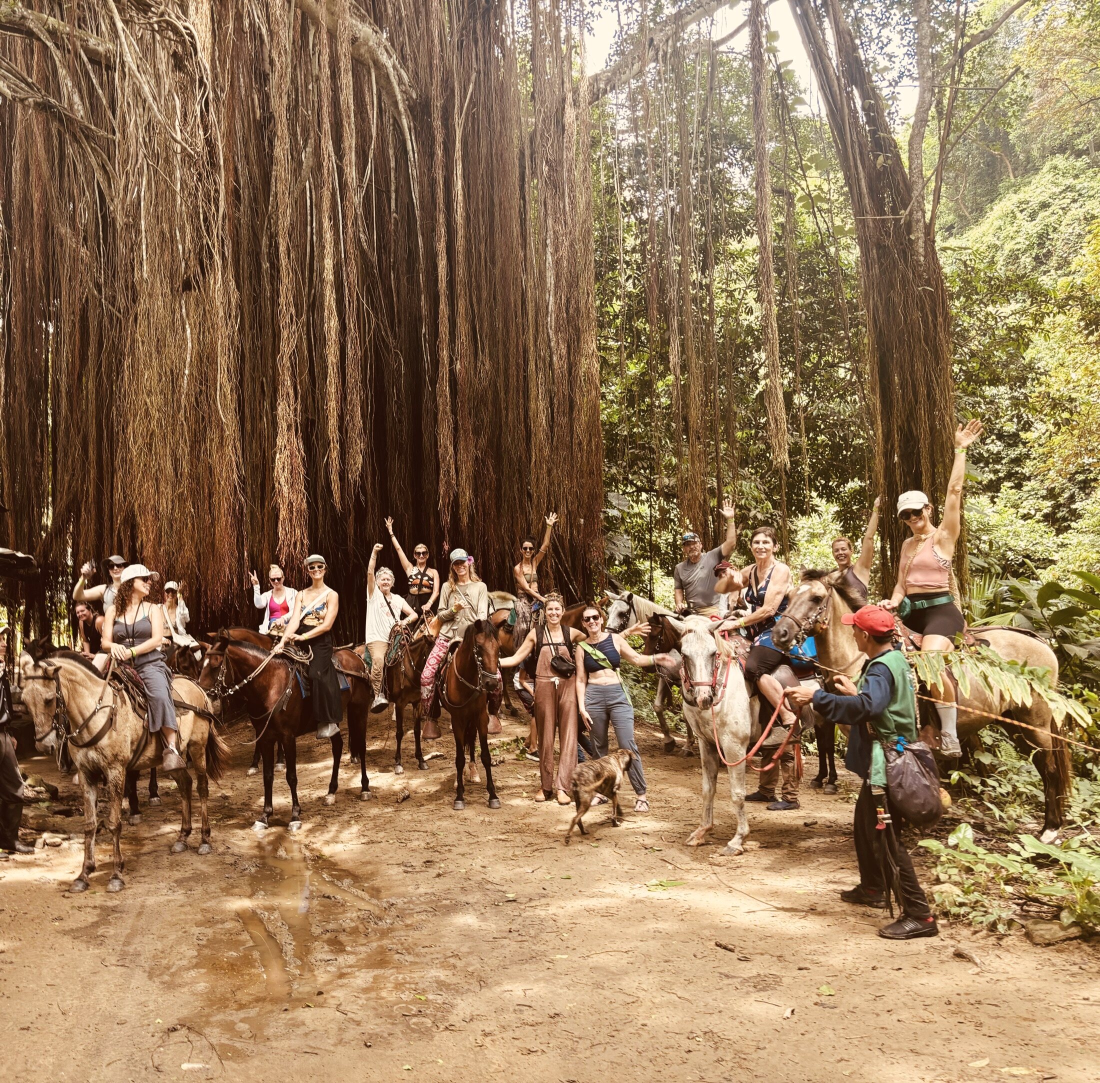 Riding horses under the giant vines